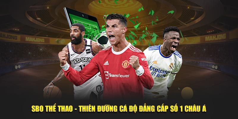 Các bộ môn hot nhất dân cá độ phải thử ngay