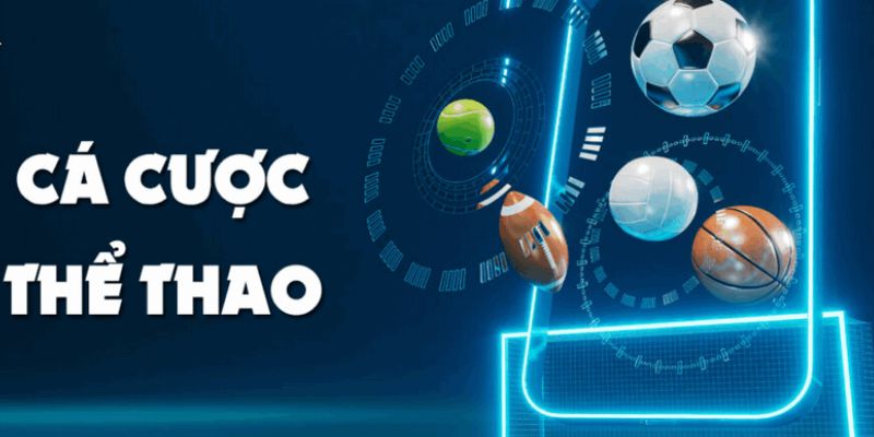 Tìm hiểu đôi nét về sảnh thể thao Saba