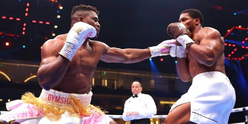 Quyền anh và MMA mang đến trải nghiệm hấp dẫn